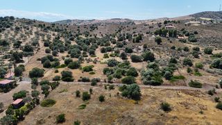 Αγροτεμάχια 6.000 τ.μ. για πώληση, Αργολίδα, Ερμιόνη-thumb-10
