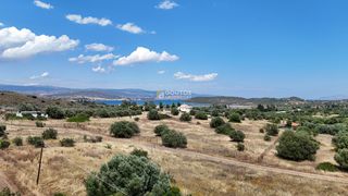 Αγροτεμάχια 6.000 τ.μ. για πώληση, Αργολίδα, Ερμιόνη-thumb-8