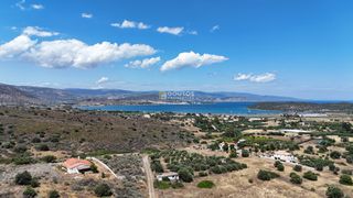Αγροτεμάχια 6.000 τ.μ. για πώληση, Αργολίδα, Ερμιόνη-thumb-6