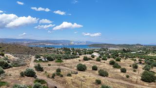 Αγροτεμάχια 6.000 τ.μ. για πώληση, Αργολίδα, Ερμιόνη-thumb-7