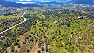 Αγροτεμάχια 21.000 τ.μ. για πώληση, Αργολίδα, Ερμιόνη-thumb-15