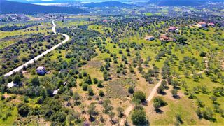 Αγροτεμάχια 21.000 τ.μ. για πώληση, Αργολίδα, Ερμιόνη-thumb-17