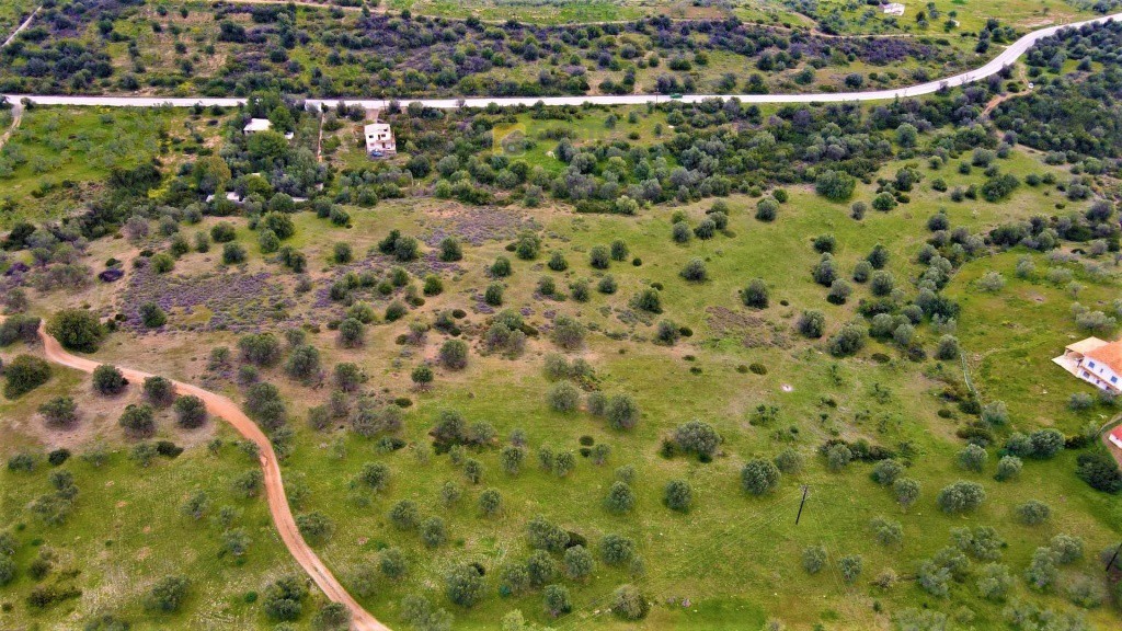 Αγροτεμάχια 21.000 τ.μ. προς πώληση, Αργολίδα, Ερμιόνη