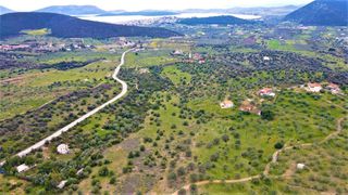 Αγροτεμάχια 21.000 τ.μ. για πώληση, Αργολίδα, Ερμιόνη-thumb-5
