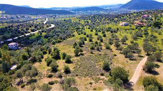 Αγροτεμάχια 21.000 τ.μ. για πώληση, Αργολίδα, Ερμιόνη-thumb-21
