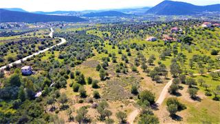 Αγροτεμάχια 21.000 τ.μ. για πώληση, Αργολίδα, Ερμιόνη-thumb-19