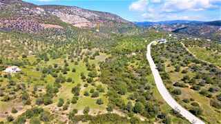 Αγροτεμάχια 21.000 τ.μ. για πώληση, Αργολίδα, Ερμιόνη-thumb-10