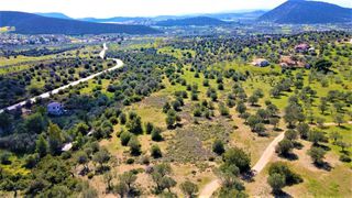Αγροτεμάχια 21.000 τ.μ. για πώληση, Αργολίδα, Ερμιόνη-thumb-20