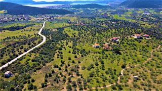 Αγροτεμάχια 21.000 τ.μ. για πώληση, Αργολίδα, Ερμιόνη-thumb-14