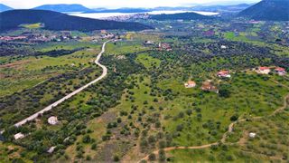 Αγροτεμάχια 21.000 τ.μ. για πώληση, Αργολίδα, Ερμιόνη-thumb-6