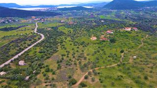 Αγροτεμάχια 21.000 τ.μ. για πώληση, Αργολίδα, Ερμιόνη-thumb-9