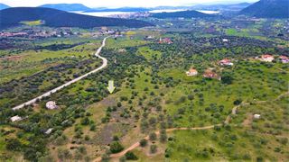 Αγροτεμάχια 21.000 τ.μ. για πώληση