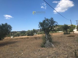 Αγροτεμάχια 9.251 τ.μ. για πώληση, Αργολίδα, Κρανίδι-thumb-4