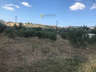 Αγροτεμάχια 9.251 τ.μ. για πώληση, Αργολίδα, Κρανίδι-thumb-3
