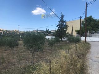Αγροτεμάχια 9.251 τ.μ. για πώληση, Αργολίδα, Κρανίδι-thumb-2