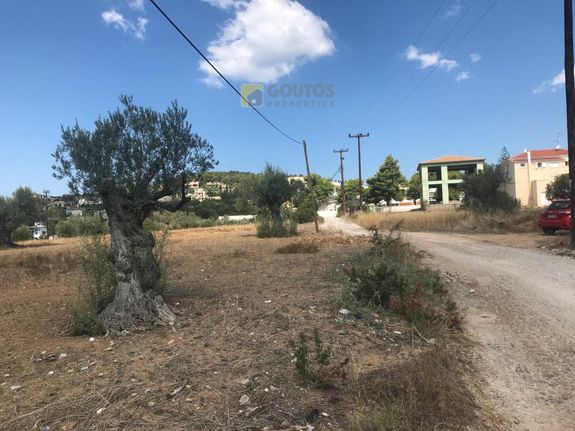 Αγροτεμάχια 9.251 τ.μ. για πώληση, Αργολίδα, Κρανίδι