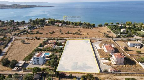 Αγροτεμάχια 4.000τ.μ. για πώληση-Κρανίδι