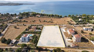 Αγροτεμάχια 4.000 τ.μ. για πώληση