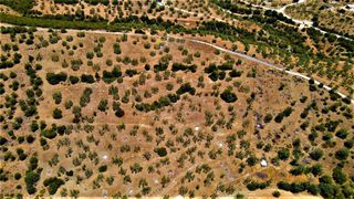 Αγροτεμάχια 4.100 τ.μ. για πώληση, Αργολίδα, Ερμιόνη-thumb-19