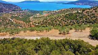 Αγροτεμάχια 4.100 τ.μ. για πώληση, Αργολίδα, Ερμιόνη-thumb-23