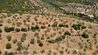 Αγροτεμάχια 4.100 τ.μ. για πώληση, Αργολίδα, Ερμιόνη-thumb-26