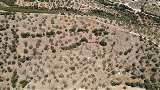 Αγροτεμάχια 4.100 τ.μ. για πώληση, Αργολίδα, Ερμιόνη-thumb-8