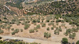 Αγροτεμάχια 4.100 τ.μ. για πώληση, Αργολίδα, Ερμιόνη-thumb-14