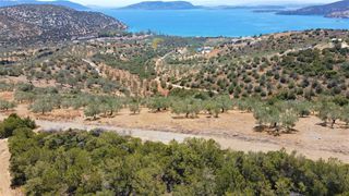 Αγροτεμάχια 4.100 τ.μ. για πώληση, Αργολίδα, Ερμιόνη-thumb-12