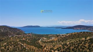 Αγροτεμάχια 4.100 τ.μ. για πώληση, Αργολίδα, Ερμιόνη-thumb-9