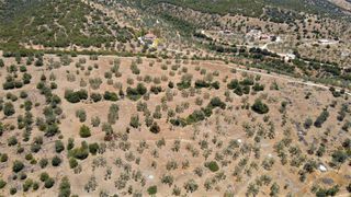 Αγροτεμάχια 4.100 τ.μ. για πώληση, Αργολίδα, Ερμιόνη-thumb-17