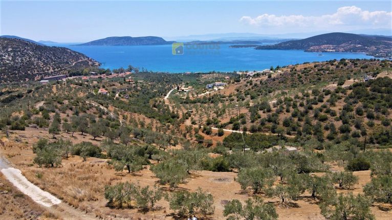 Αγροτεμάχια 4.100 τ.μ. για πώληση, Αργολίδα, Ερμιόνη
