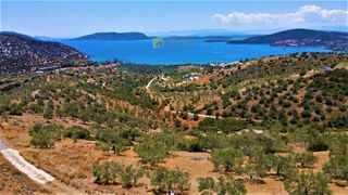 Αγροτεμάχια 4.100 τ.μ. για πώληση, Αργολίδα, Ερμιόνη-thumb-21