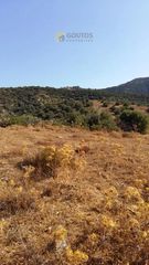 Αγροτεμάχια 4.100 τ.μ. για πώληση, Αργολίδα, Ερμιόνη-thumb-4
