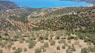 Αγροτεμάχια 4.100 τ.μ. για πώληση, Αργολίδα, Ερμιόνη-thumb-15