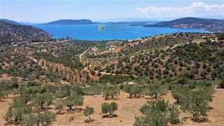 Αγροτεμάχια 4.100 τ.μ. για πώληση, Αργολίδα, Ερμιόνη-thumb-10