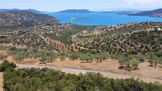 Αγροτεμάχια 4.100 τ.μ. για πώληση, Αργολίδα, Ερμιόνη-thumb-13
