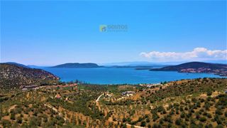 Αγροτεμάχια 4.100 τ.μ. για πώληση, Αργολίδα, Ερμιόνη-thumb-20