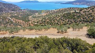 Αγροτεμάχια 4.100 τ.μ. για πώληση, Αργολίδα, Ερμιόνη-thumb-11
