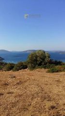 Αγροτεμάχια 4.100 τ.μ. για πώληση, Αργολίδα, Ερμιόνη-thumb-6