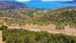 Αγροτεμάχια 4.100 τ.μ. για πώληση, Αργολίδα, Ερμιόνη-thumb-24