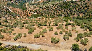 Αγροτεμάχια 4.100 τ.μ. για πώληση, Αργολίδα, Ερμιόνη-thumb-25