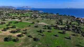 Αγροτεμάχια 5.397 τ.μ. για πώληση, Αργολίδα, Κρανίδι-thumb-10