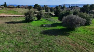 Αγροτεμάχια 5.397 τ.μ. για πώληση, Αργολίδα, Κρανίδι-thumb-8