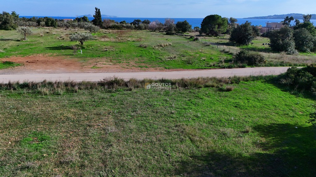 Αγροτεμάχια 5.397 τ.μ. πρός πώληση, Αργολίδα, Κρανίδι