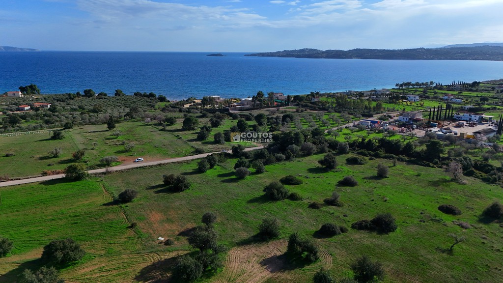 Αγροτεμάχια 5.397 τ.μ. πρός πώληση, Αργολίδα, Κρανίδι