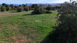 Αγροτεμάχια 5.397 τ.μ. για πώληση, Αργολίδα, Κρανίδι-thumb-5