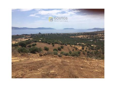 Αγροτεμάχια 6.200τ.μ. για πώληση-Ερμιόνη