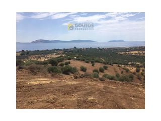 Αγροτεμάχια 6.200 τ.μ. πρός πώληση, Αργολίδα, Ερμιόνη-thumb-1