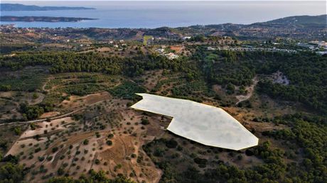 Αγροτεμάχια 18.000τ.μ. για πώληση-Κρανίδι