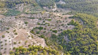 Αγροτεμάχια 18.000 τ.μ. για πώληση, Αργολίδα, Κρανίδι-thumb-21